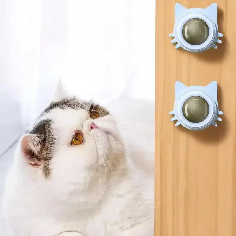 Katzenspielzeug Wand-Spinner mit Catnip – Interaktives Indoor-Spielzeug