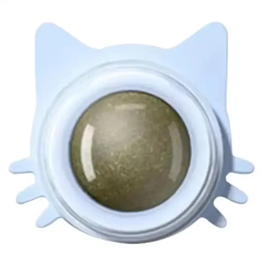 Katzenspielzeug Wand-Spinner mit Catnip – Interaktives Indoor-Spielzeug
