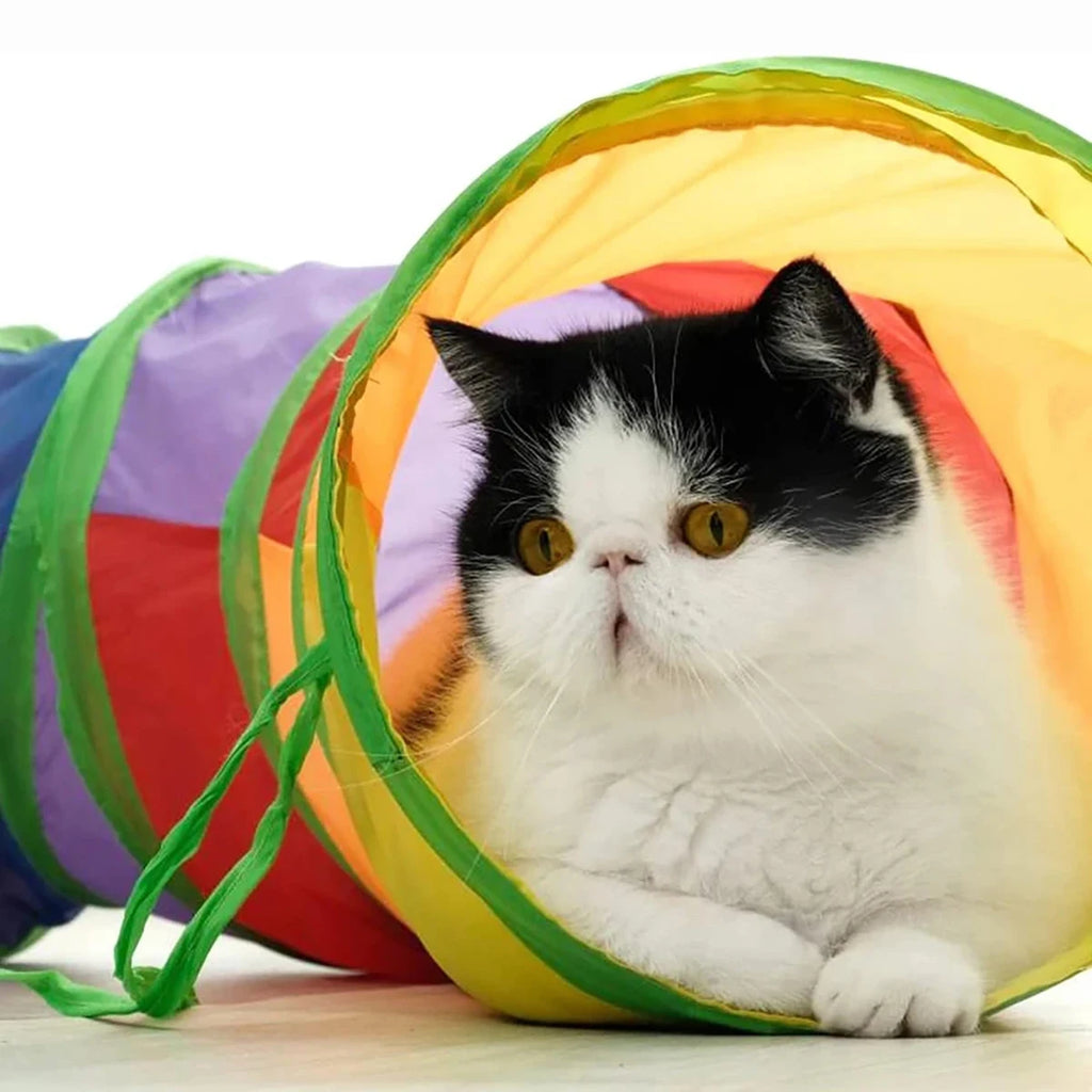 Katzentunnel faltbar – Interaktives Spielzeug für Katzen, Kaninchen & Welpen