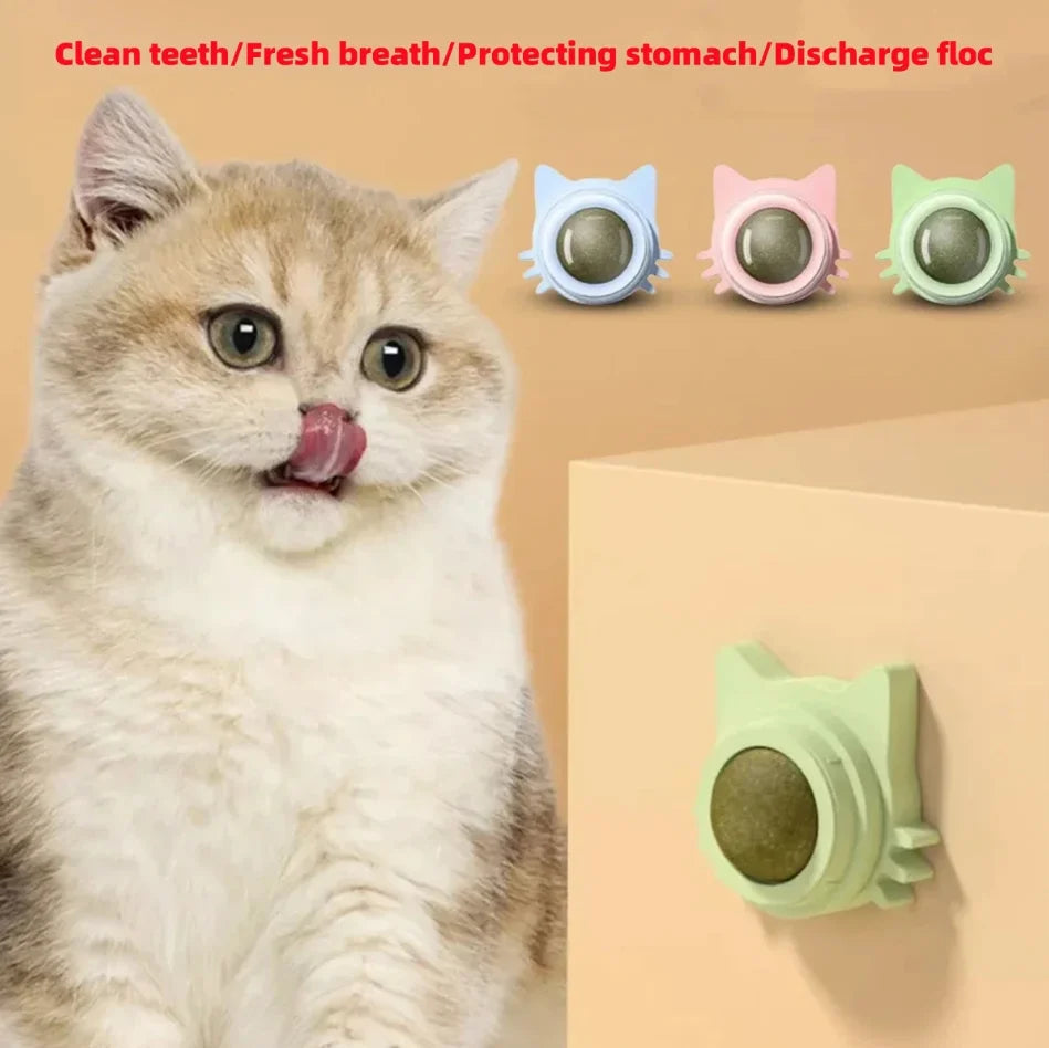 Katzenspielzeug Wand-Spinner mit Catnip – Interaktives Indoor-Spielzeug