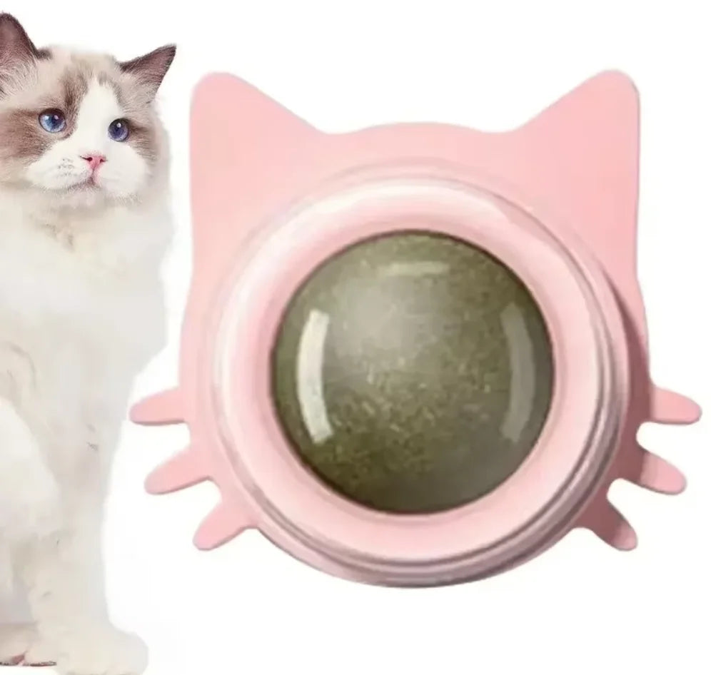 Katzenspielzeug Wand-Spinner mit Catnip – Interaktives Indoor-Spielzeug