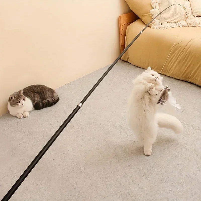 Ausziehbare Katzenangel mit Feder – Teleskop-Spielrute für Katzen