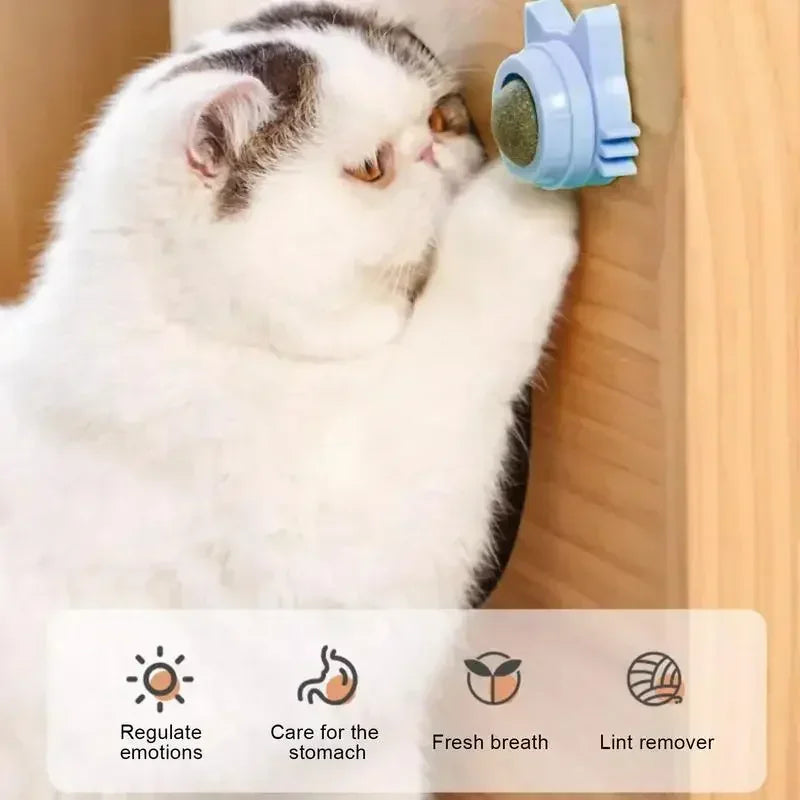 Katzenspielzeug Wand-Spinner mit Catnip – Interaktives Indoor-Spielzeug